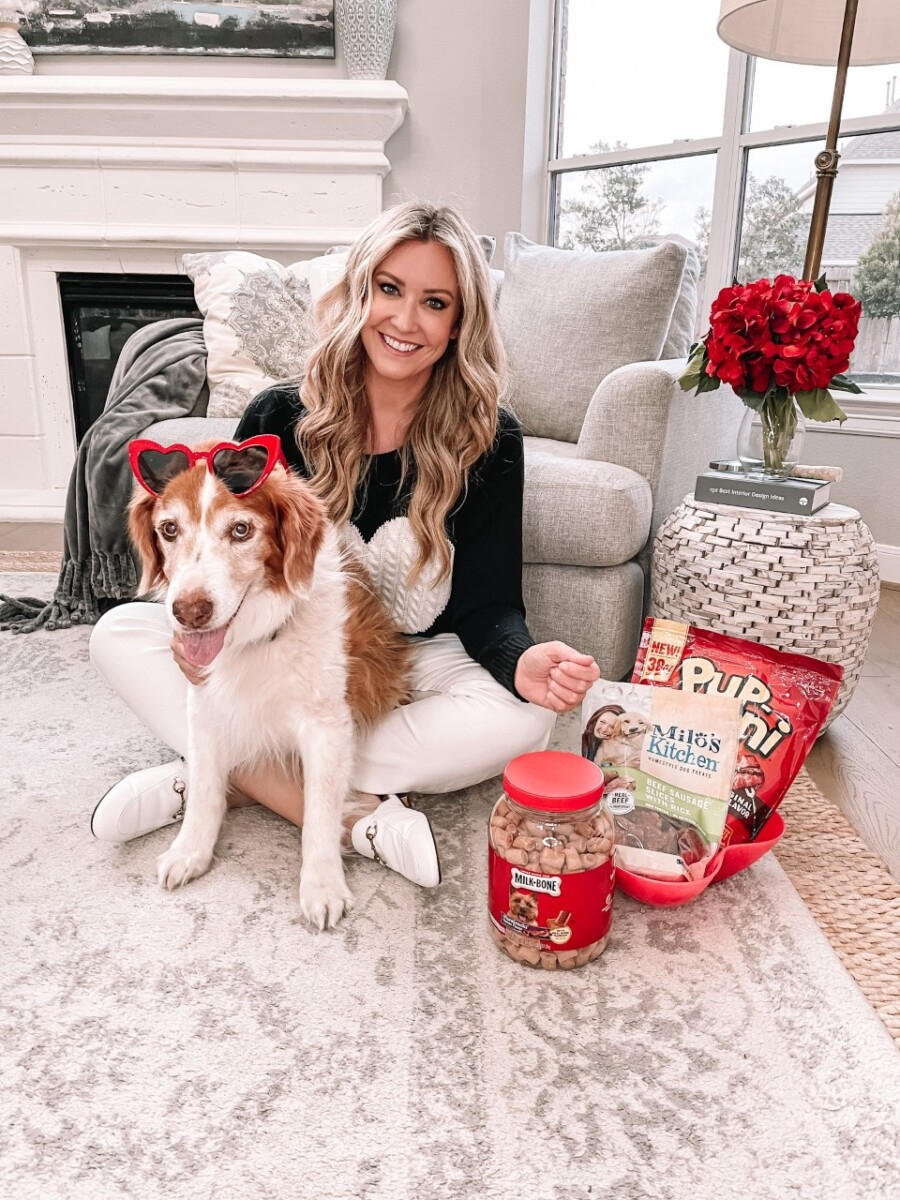 Valentine’s Day Dog treats